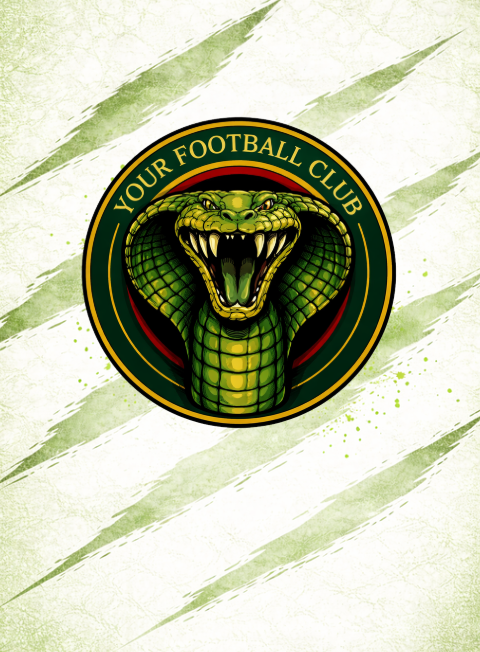 Sports Player Cards - Design 2